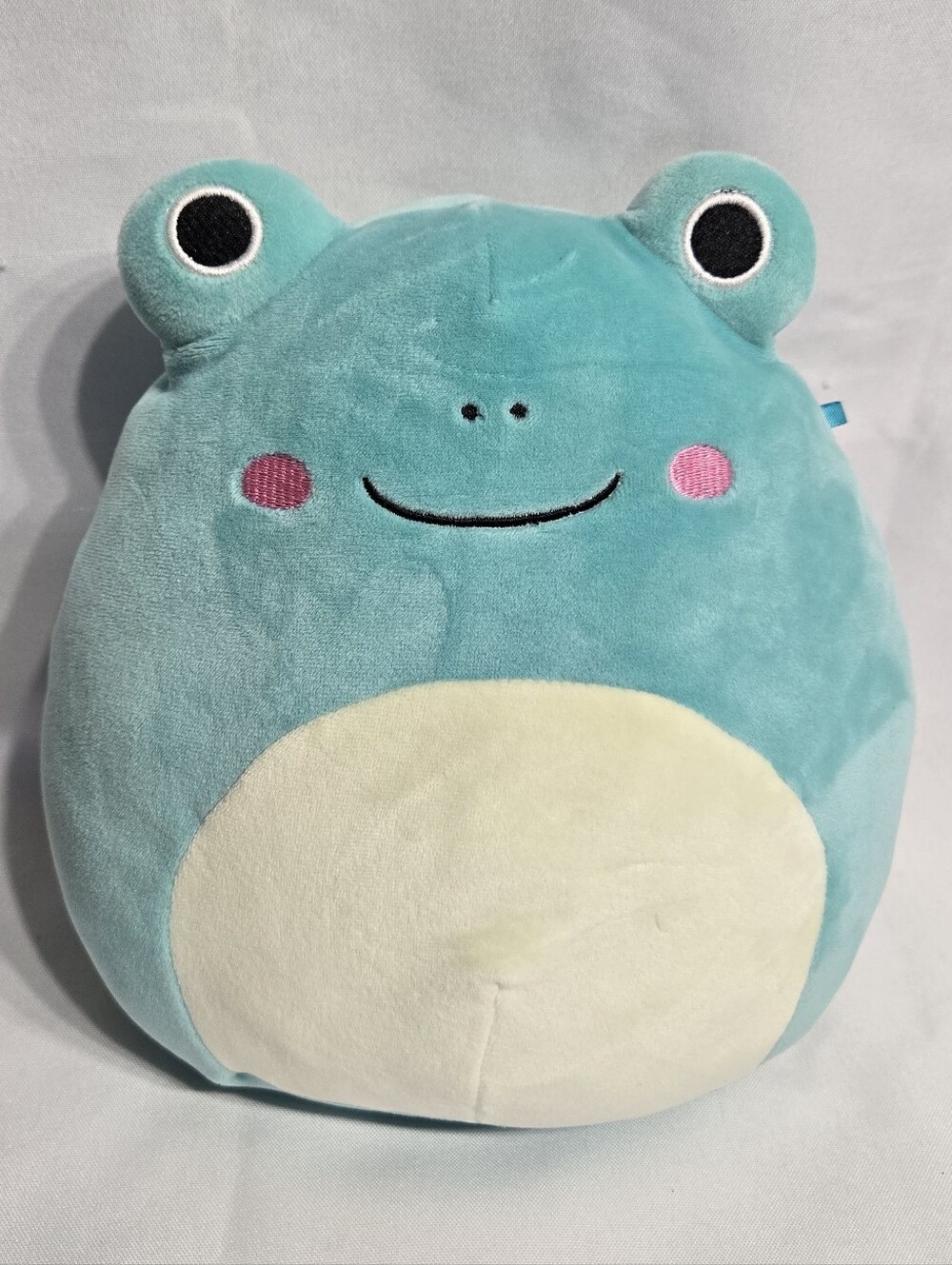 8" Squishmallows Robert the Frog plush Excellent Condition